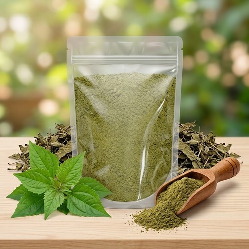 Dream herb calea - herb,