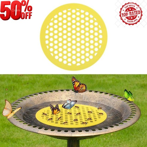 Bee drinking station - bee, butterfly