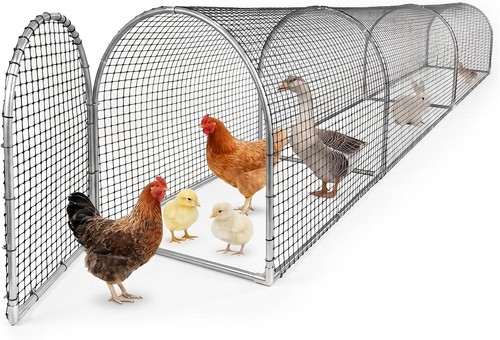 Chicken run tunnel - run,