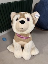 Winter Wonderland Husky Dog