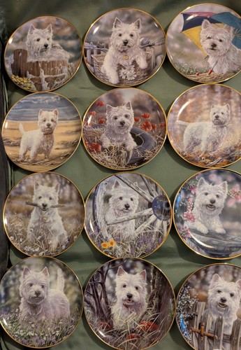 Set westies plates - 12,