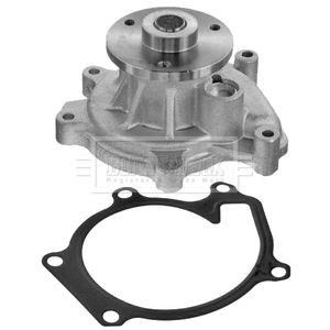 Genuine borg beck water - borg, pump