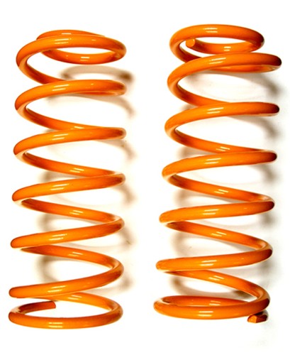 Rear coil spring - spring, pair
