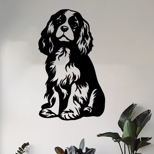 Cavalier king charles - king,