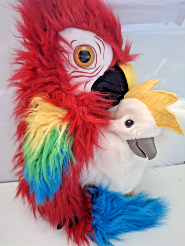 The puppet company parrot - the,