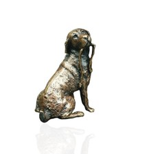 Bronze Labrador Dog With Lead