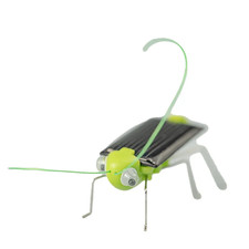 Solar Simulation Insect