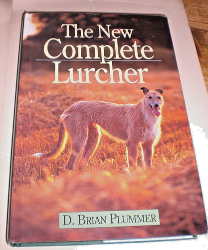 Brian plummer the - the, new