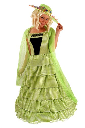 Costume colonial dress - colonial, baroque