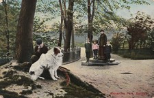 Alexandra Park Belfast