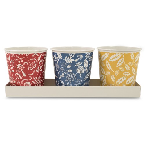 Set tin woodlands nature - set,