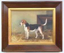 AN ENGLISH FOX HOUND -
