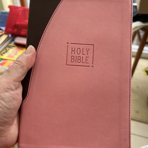 Niv holy bible pink - niv, touch