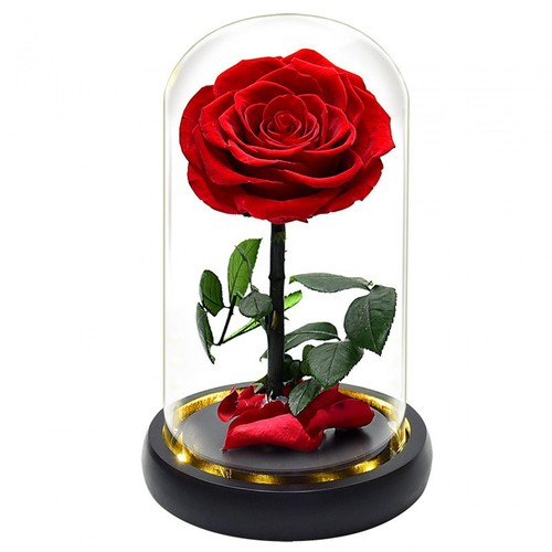 Rose flower glass decor - flower, in