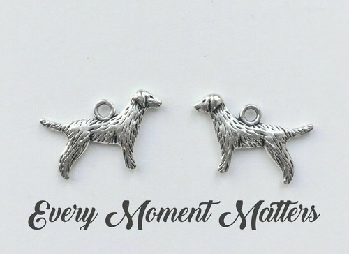 Tibetan silver dog charm - 10, x