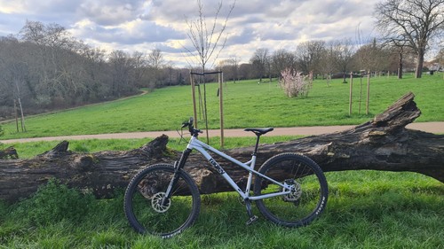 Ragley mmmbopp mountain - ragley,