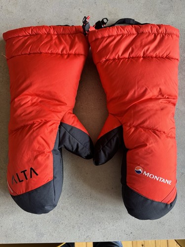 Montane alta alpine - alta, 850