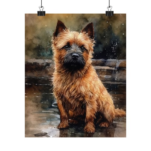 Norwich terrier dog - terrier, print