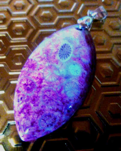 Chrysanthemum coral fossil - chrysanthemum,