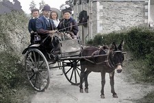 COL0922 - Donkey Cart - print