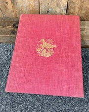 Shorelands Summer Diary - C.F