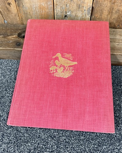 Shorelands summer diary - shorelands,