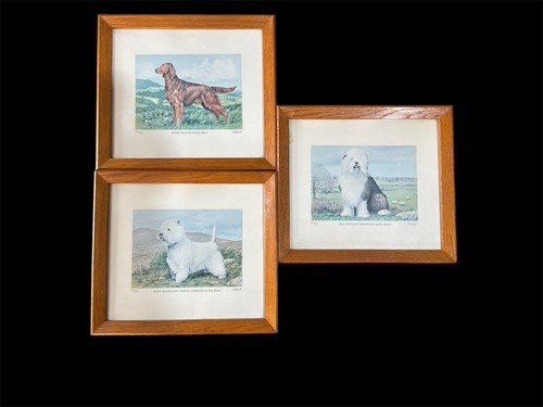 Vintage framed glazed prints - framed,