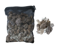 Pond Aquarium Clear Murky