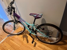 Junior Apollo vivid mountain