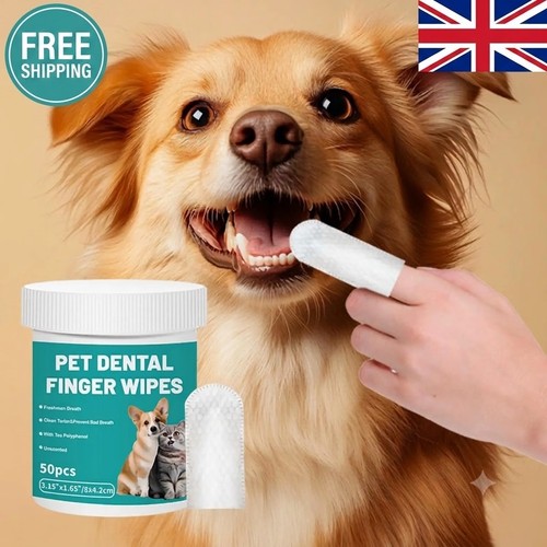 Pets dogs cats - cats, wipes