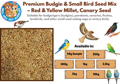 Premium budgie small - budgie,,