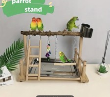 Parrot Bird Playground Playpen