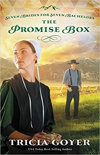 Tricia goyer promise box - ,
