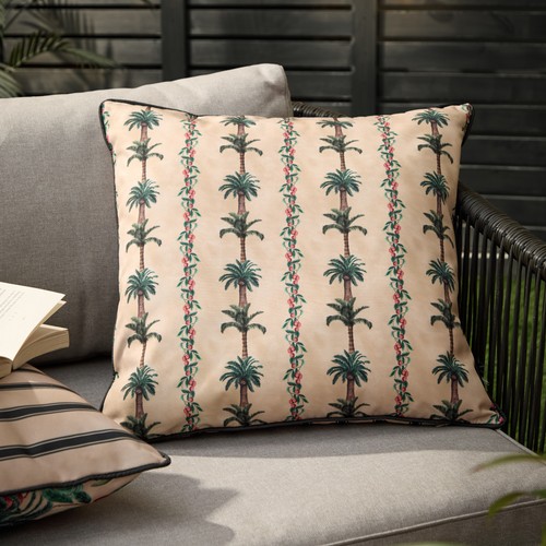 Wylder monkey palm - wylder,