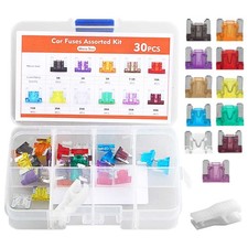 30x Micro Blade Fuses Set 2A