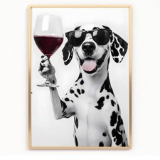 Funny DALMATIAN dog drinking