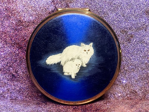 Blue and white perisan cats - and,