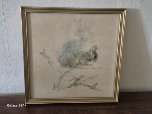 Vintage mads stage squirrel - mads,