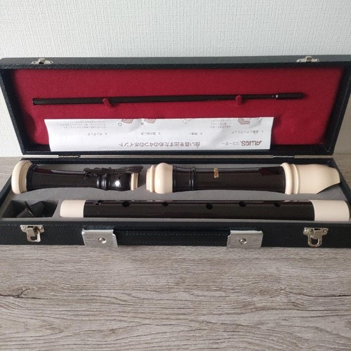 Aulos tenor recorder hard case - recorder,