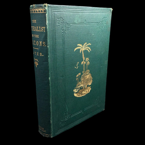 The naturalist river - naturalist,