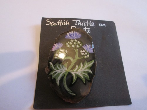 Beautiful scottish thistle - beautiful,