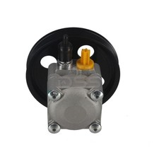Steering Hydraulic Pump Fits