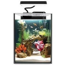 Glass Betta Aquarium Starter