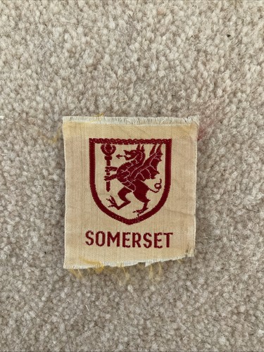 Somerset county boy - somerset, scouts
