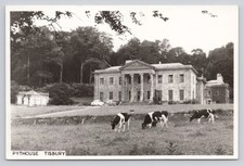 Pythouse Tisbury Postcard Real