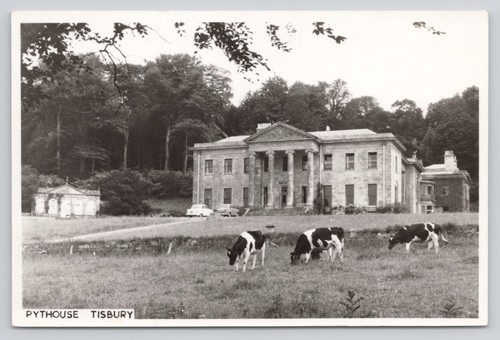 Pythouse tisbury postcard - postcard, real