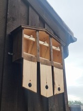 Premium Handmade Sparrow Three