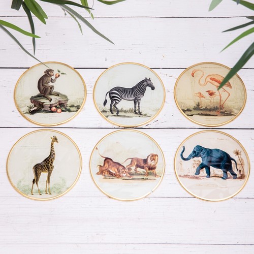 Vintage safari animal - x,