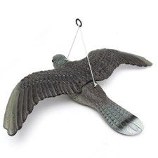 Realistic Flying Bird Hawk