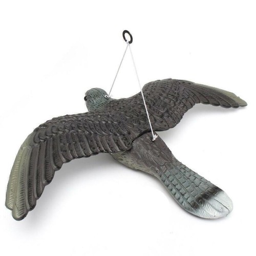 Realistic flying bird hawk - flying,